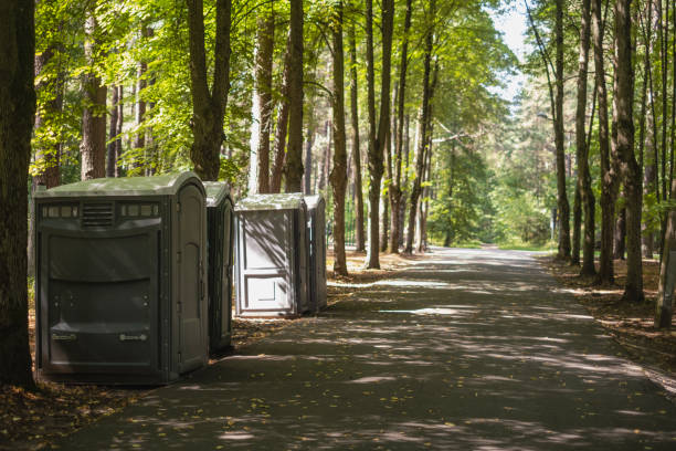 Best Sanitation services for porta potties  in Chaffee, MO